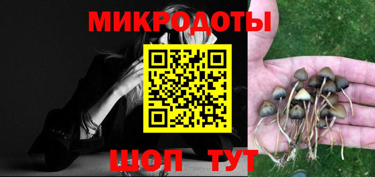 Галлюциногенные грибы прущие грибы  Вход с VPN  магазин продажи наркотиков  Татарск 